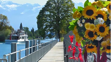 Uferweg in Thun